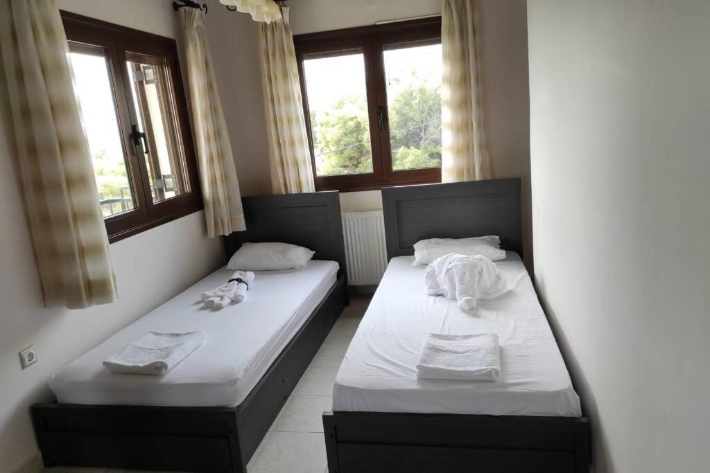 Artemis Penthouse 10 Minute From National Airport Villa Esterno foto