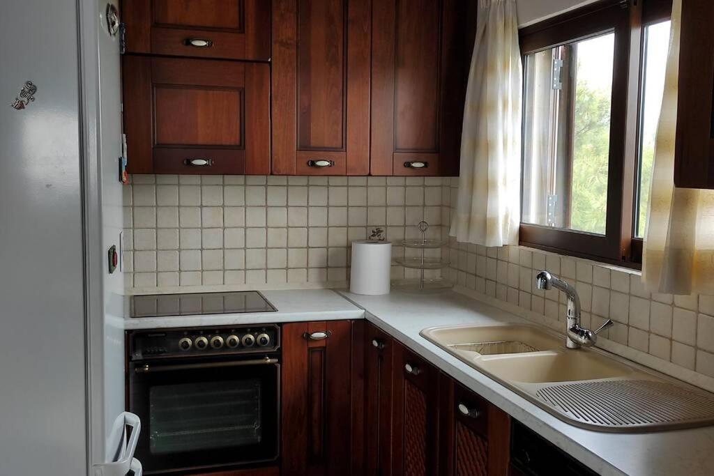 Artemis Penthouse 10 Minute From National Airport Villa Esterno foto